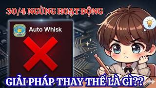 Auto Whisk 30/4 ngừng hoạt động, giải pháp thay thế là gi?