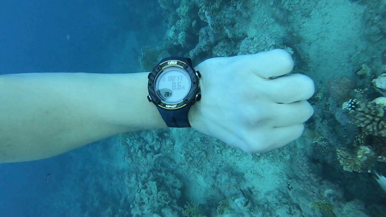 sharm el sheikh freediving 10m depth