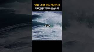 영화·수영·문화센터 전부 무료?! 어르신 문화카드 나왔습니다!