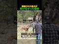 猟犬が動けなかった理由