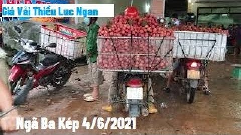 Giá Vải Tại Ngã Ba Kép Đêm Mưa Nên Bà Con Không Bẻ Vải l Vải Thiều Lục Ngạn