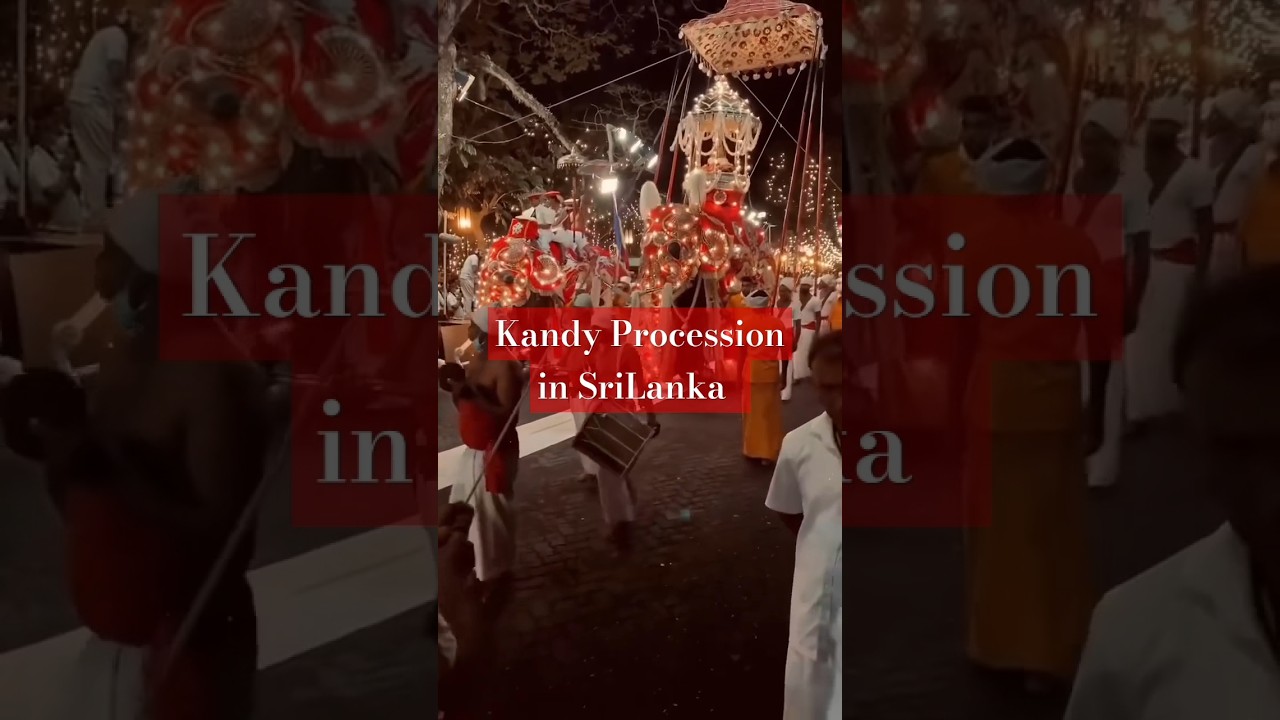 Kandy Procession in SriLanka  🇱🇰 