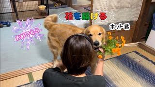 忘年会のサプライズに使えるアイデア。盛り上がる演出集
