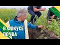 Как разные смеси покровных культур влияют на свойства почвы.