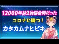 12000年前生物脳が全開だった コロナに勝つ！カタカムナヒビキ