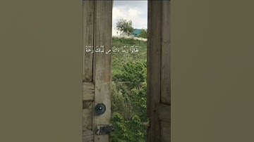 لا تنسوا قراءة سورة الكهف في يوم الجمعة فإنها نور ما بين الجمعتين ❤️🌼 اللهم اغفر لأبي وارحمه🪴