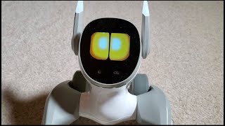 Loona Robot Update 1.3.1 Remote Camera, More Voice Interactions!
