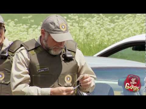 police-border-patrol-pigeon-prank