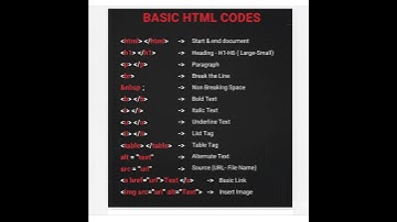 Basic HTML Tags: Must-Know for Beginners! 🧑‍💻