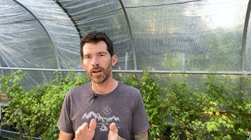 Episode 29: Watering, Part 2