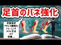 足首のバネを鍛えるトレーニングとテスト方法＋ケア＆栄養摂取（足首固定？つま先接地？アキレス腱を鍛える？）