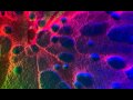 The Chemical Brothers - Out Of Control (Sasha Remix)