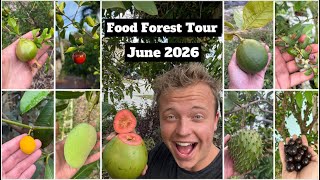 My edible food forest tour!! June 2026