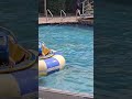 Pirate water fight on the high seas!