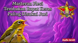 Masteran Pleci Tembakan Rapat, Keras, dan Crystal – Paling Disukai Juri