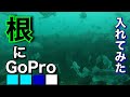 【岩礁】釣り人と漁師の敵、根の姿を暴く  ~Fish reef~