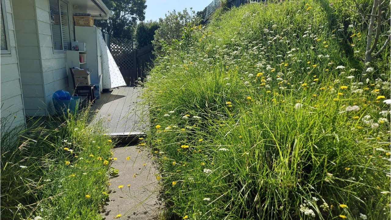 We've transformed this forest into a garden | We didn't believe it would work like that!