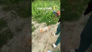 #phonkmusic #vlle #viral #vlog #fyp #explore #shortvideo