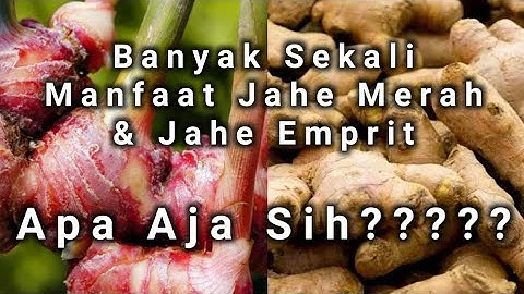 Manfaat Jahe Merah dan Jahe Emprit