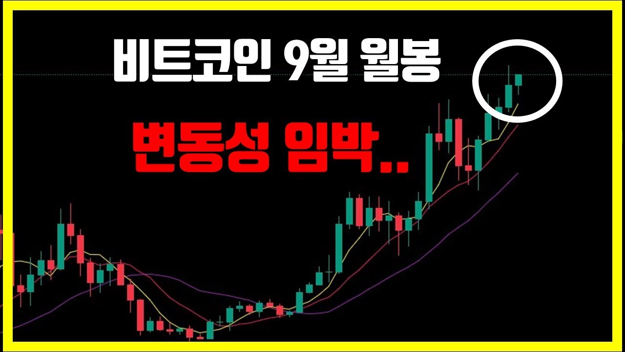 버거형 TV [앞서가는 차트분석] 유튜브 채널 분석 보고서 - NoxInfluencer