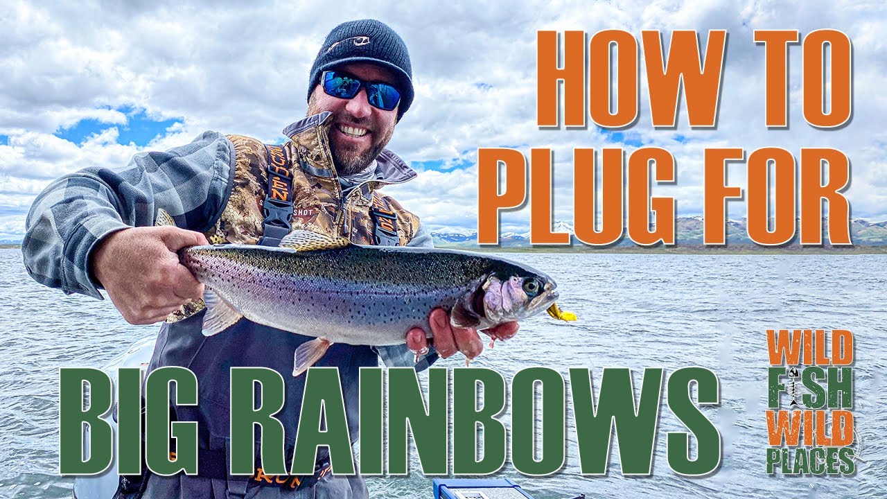 How to run plugs for big Rainbow Trout 