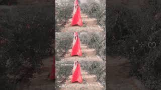 Rajasthani Songs Rajasthani Video Real Video Rajasthani Song Comedy