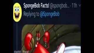 If Mr Krabs Wore A Hat