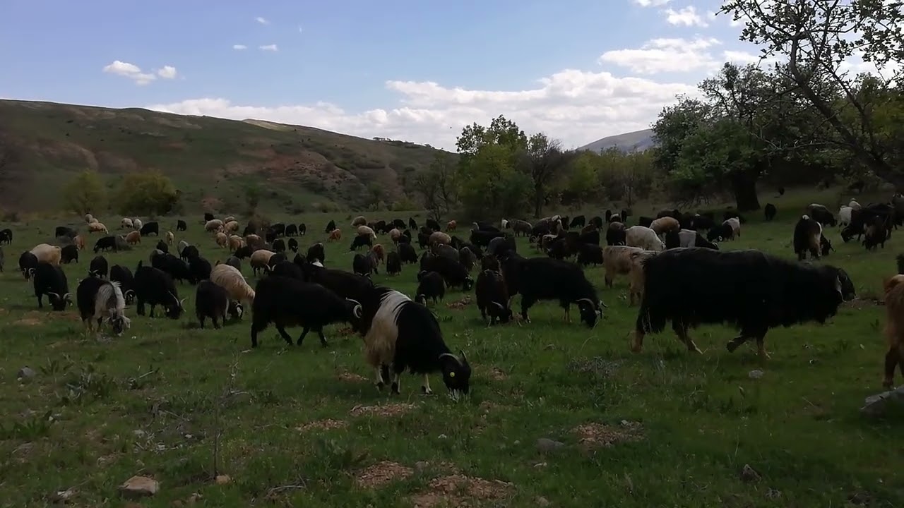 Geçip giden bir ömür 