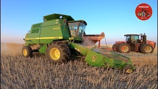 2018 Canola Harvest near Starbuck Manitoba Canada