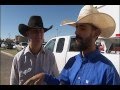 TEXAS TECH RANGE HORSE TEAM  HELPS CATCH ESCAPED COWS