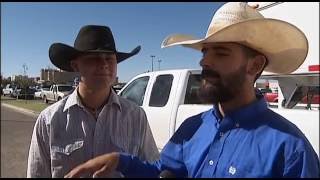 TEXAS TECH RANGE HORSE TEAM  HELPS CATCH ESCAPED COWS