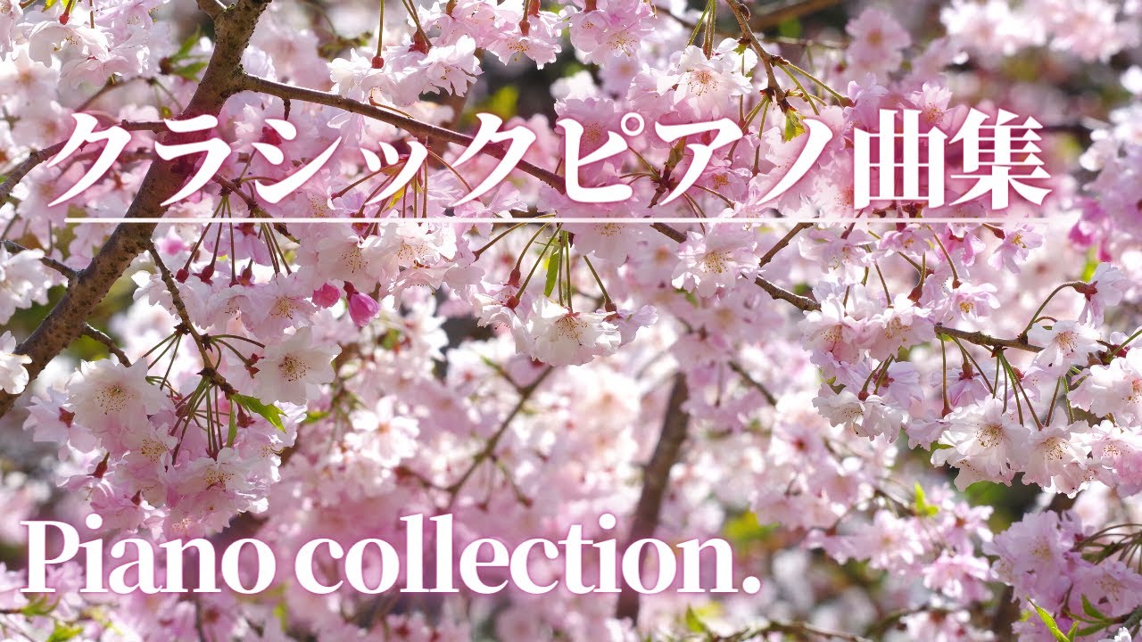 名曲クラシック】ピアノ名曲集 ショパン、サティ、モーツァルト 他作業
