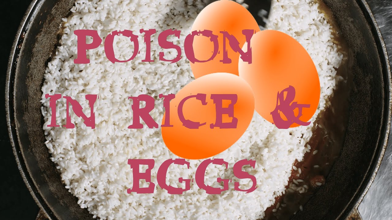 13 Tips to Avoid Poison from Foods | Multi Languages in Subs | Poison Foods Part 1 FSP