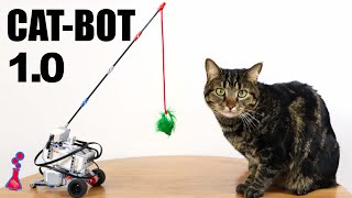 I Built a LEGO ROBOT to play with My Cat