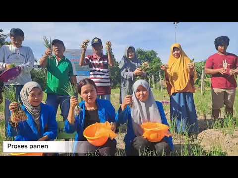 Penerapan Teknologi PHT Sesuai Standar GAP (Good Agricultural Practices) di Lahan Kering