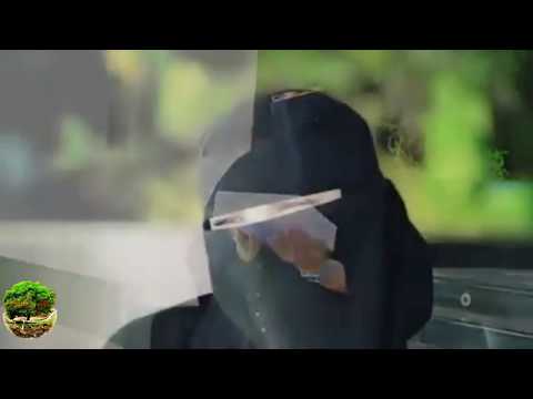 عبير العنزي تتبرع بكبدها لطفله بشاير الرشيدي