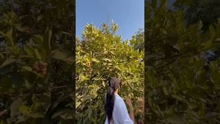 Man ranat gel g 🌾❤️ #viral #villagelife #marathivlog #youtubeshorts #travel #millionviews