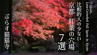 【京都の紅葉4K】🍁京都紅葉の穴場7選｜7 Quiet, Less-Crowded Fall Spots in Kyoto