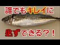 見たらやってみたくなるアジの捌き方 with English subtitle