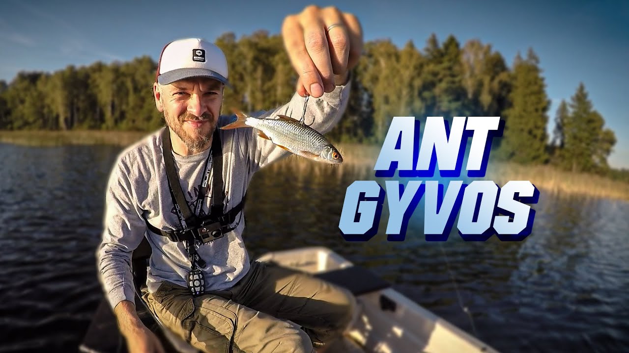 Lydekų žvejyba gyva žuvele. Žvejyba 