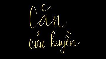 Căn cửu huyền | Thanh Đồng 364