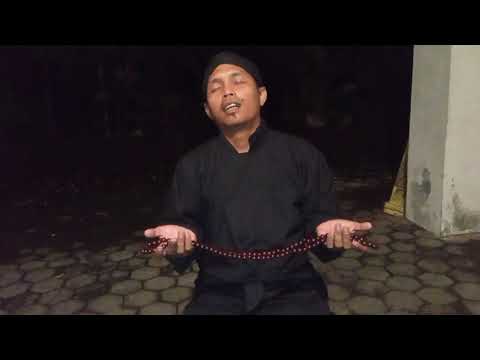 Video: Kayu Cacing Paya