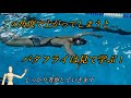 バタフライ 考察 見て学ぶ!