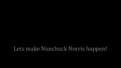 nunchuck norris.wmv