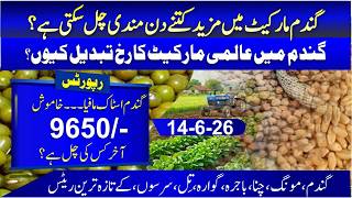 Wheat International Singnal Pakistan Vs India Wheat Update 2026 Wheat Price In Punjab, Sindh