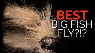 This Streamer Consistently Finds My Biggest Trout!