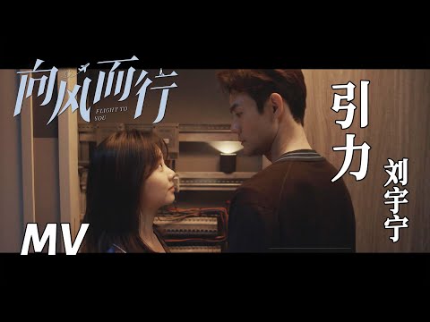 【向风而行】片尾曲MV：引力 - 摩登兄弟刘宇宁 | 王凯谭松韵热血飞翔 | Flight to You - OST