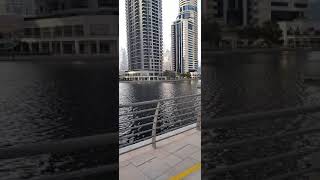 #shorts Dubai in winter travel to Dubai explor  recommended places nice weather  اماكن جميلة في دبي