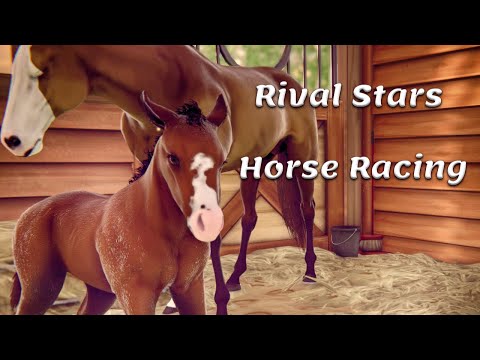 Видео: Rival Stars Horse Racing. Новые жеребята + выполнила все ежедневные задания