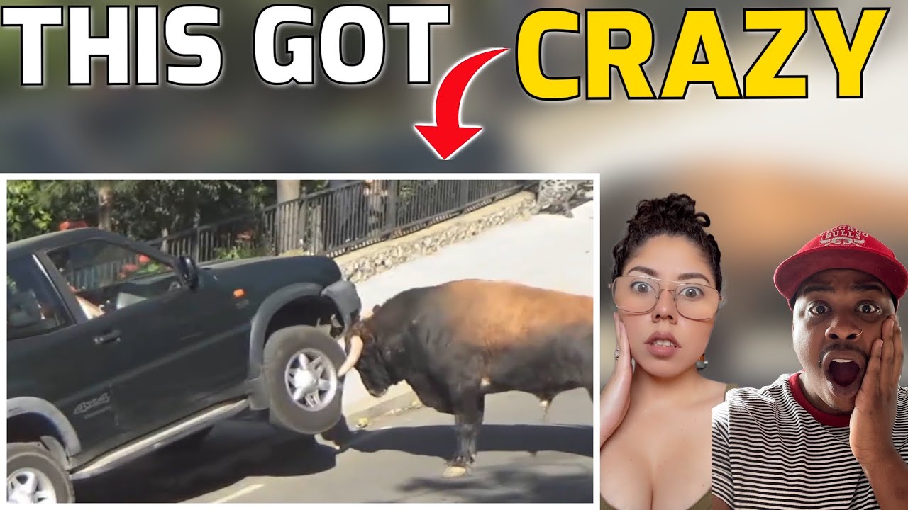 Damn Nature is SCARY! CRAZY Animal Encounters